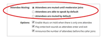 Attendee Audio